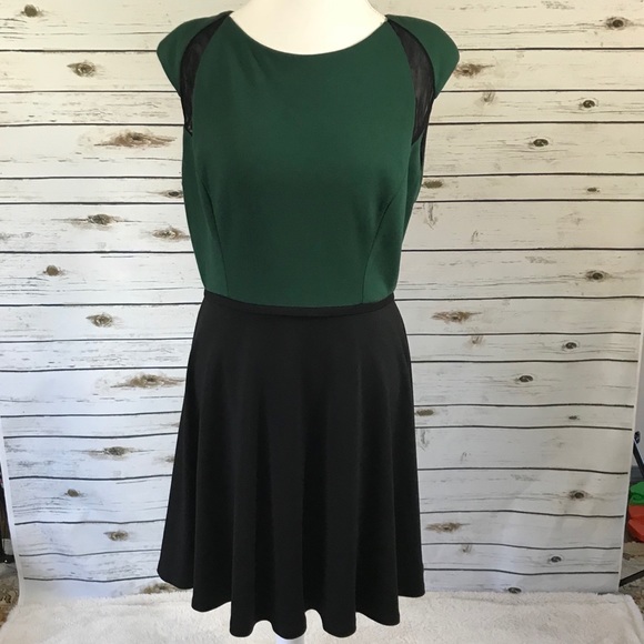 Badgley Mischka Dresses & Skirts - Belle Badgley Black Green Fit & Flare A-line Dress